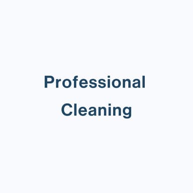 Professional Cleaning